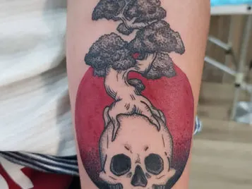 Ultimos cursos de tatuaje del ano
