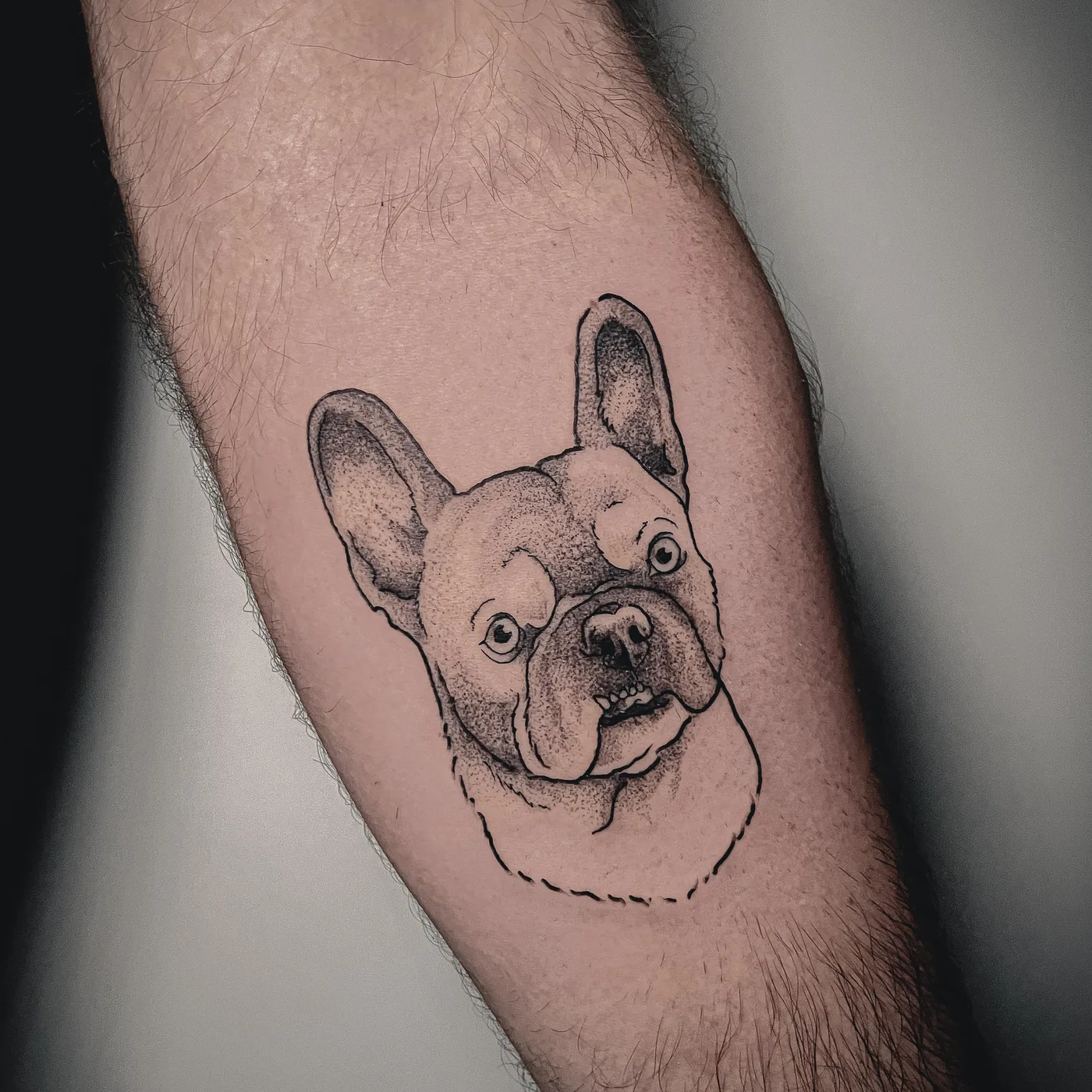 Tatuaje de un perro en el antebrazo, ESAP Madrid Tatuaje de un perro en el antebrazo, ESAP Madrid
