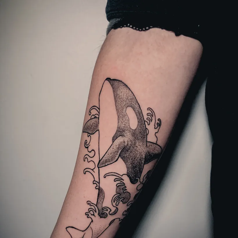Tatuaje blackwork de una orca, por Carlos «Gambruk» en ESAP Madrid